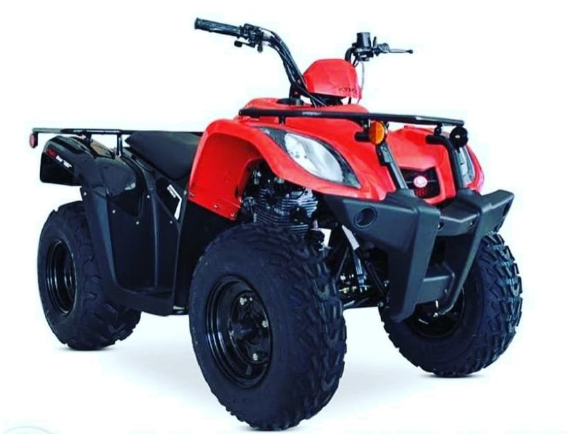 Servicios 2 scooters